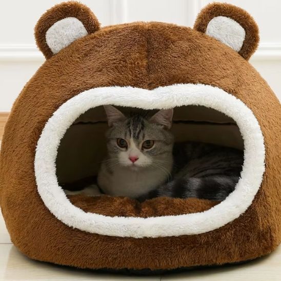 chat repose panier
