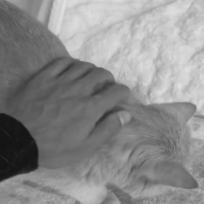 Lint Roller™-Rouleau Anti Peluche